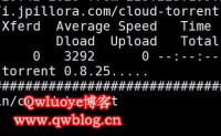 在Linux系统命令行界面下载BT种子文件cloud-torrent