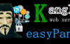对Kangle easyPanel安全性、漏洞解决和使用看法