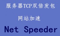 国外网站加速：利用Net Speeder进行双倍TCP发包